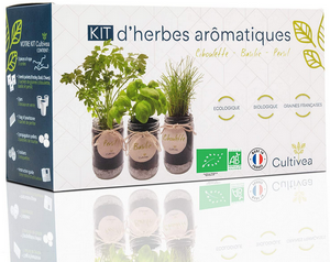 Test et avis sur le kit prêt à pousser d'herbes aromatiques Cultivea